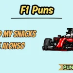 F1 Puns