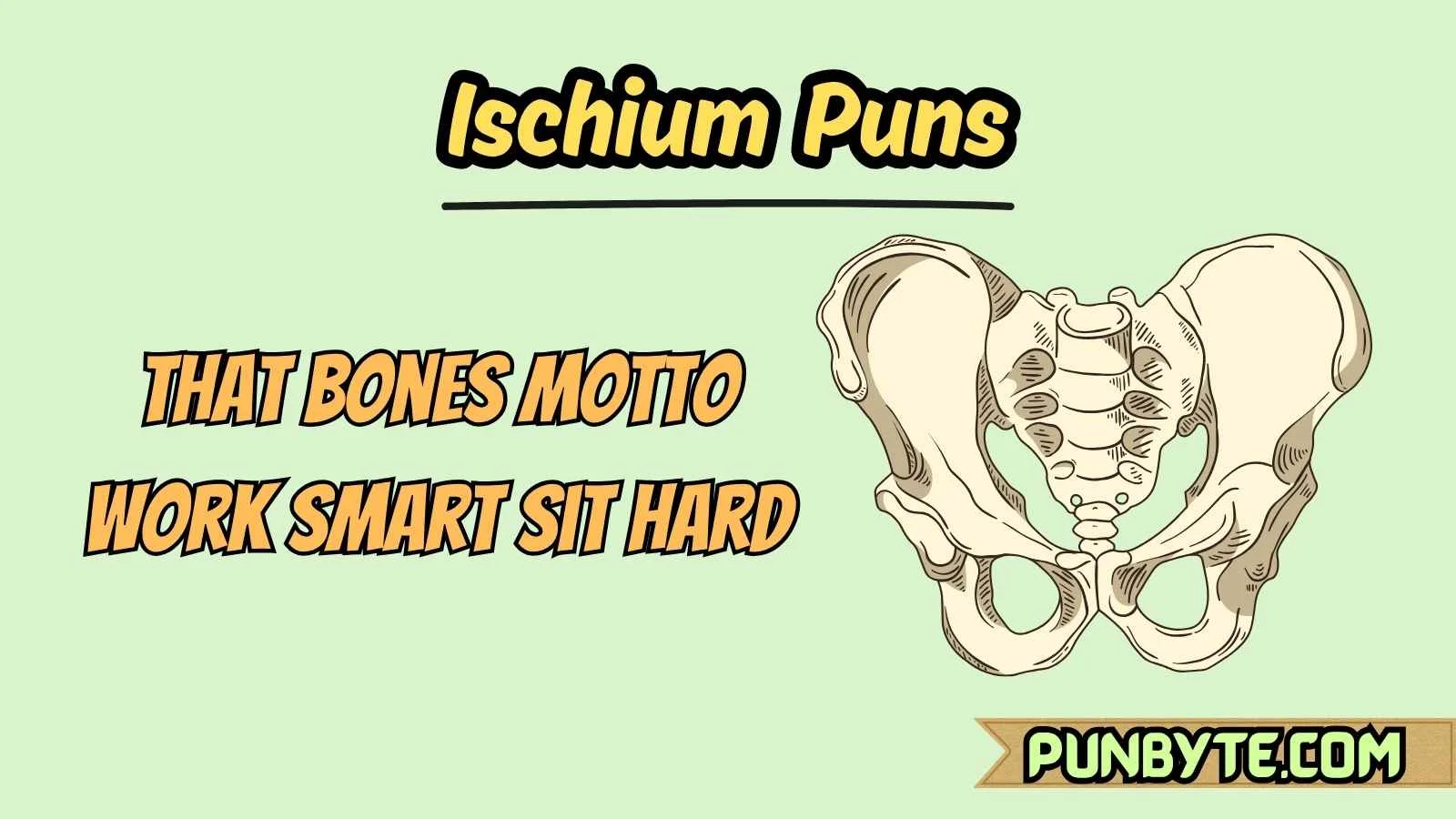 Ischium Puns