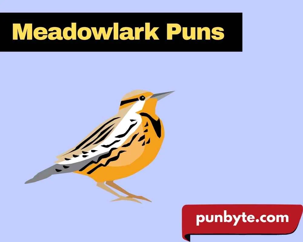 Meadowlark Puns