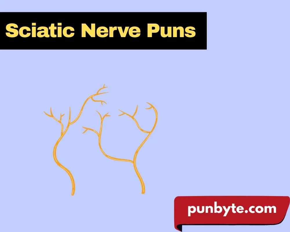 Sciatic Nerve Puns