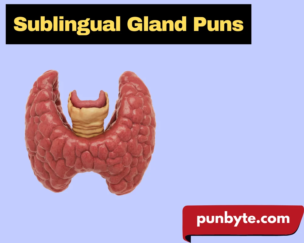 Sublingual Gland Puns