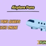 Airplane Puns