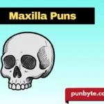 Maxilla Puns