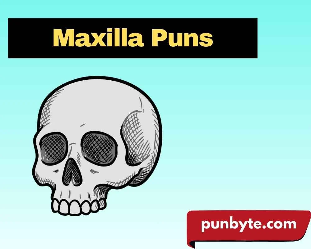 Maxilla Puns