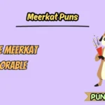 Meerkat Puns