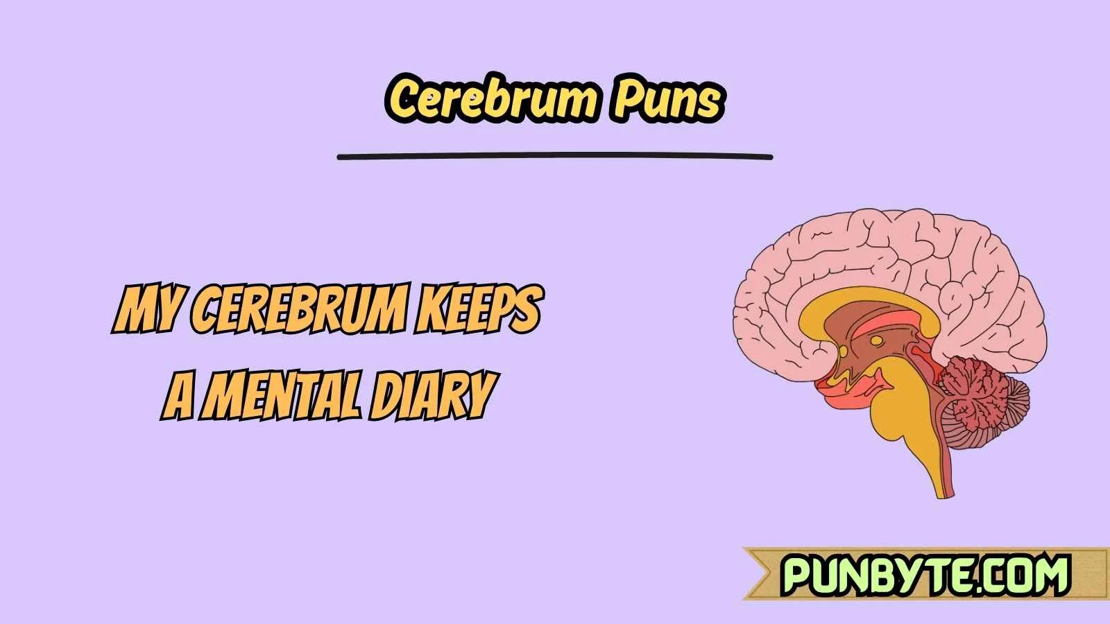 Cerebrum Puns