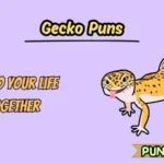 Gecko Puns