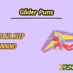 Glider Puns