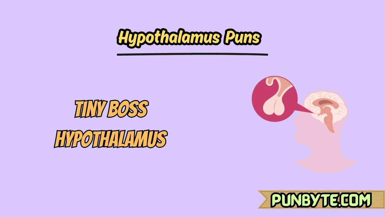 Hypothalamus Puns