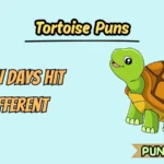 Tortoise Puns