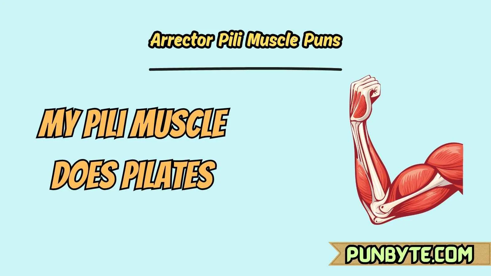 Arrector Pili Muscle Puns