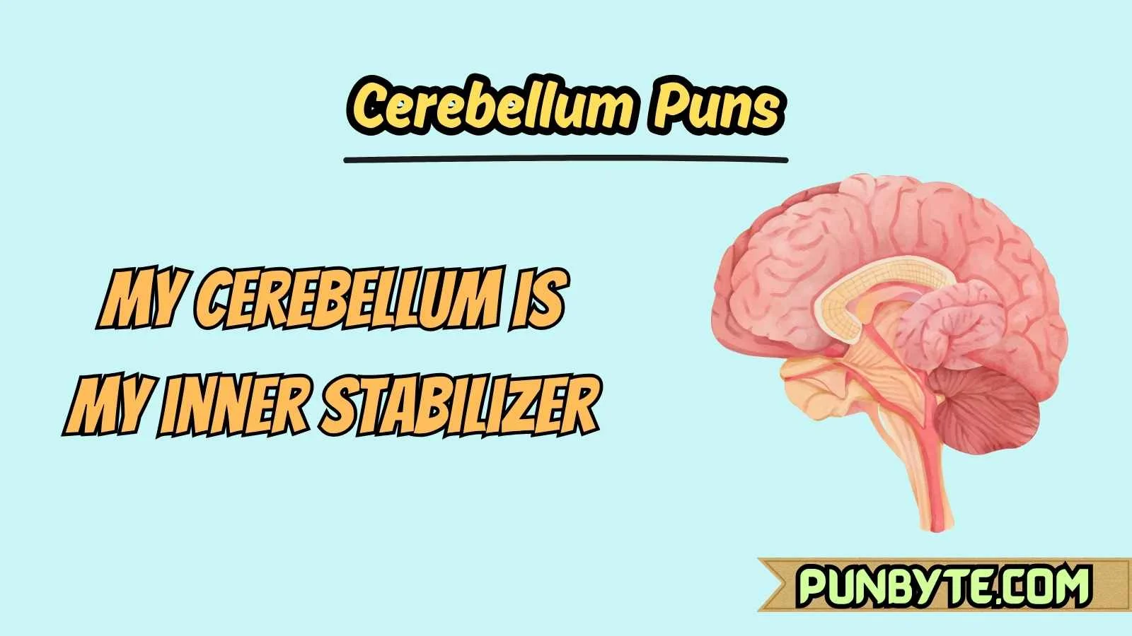Cerebellum Puns