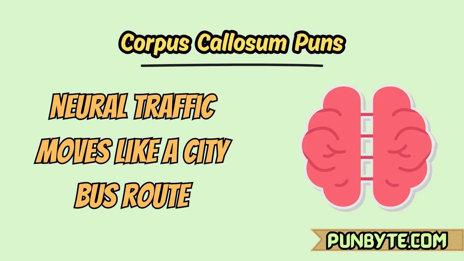 Corpus Callosum Puns