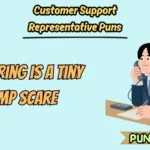 Customer Support Representative Puns