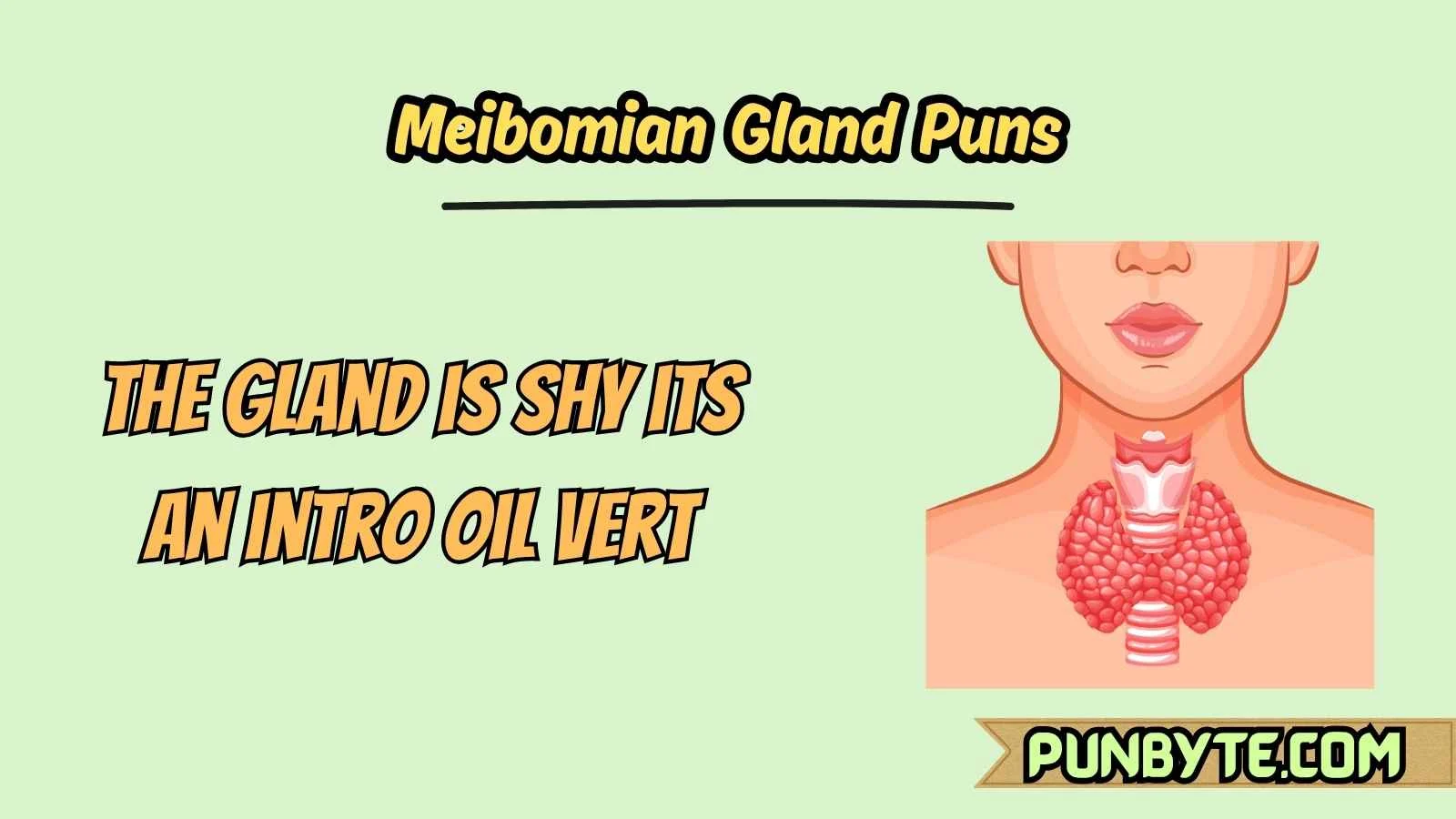 Meibomian Gland Puns