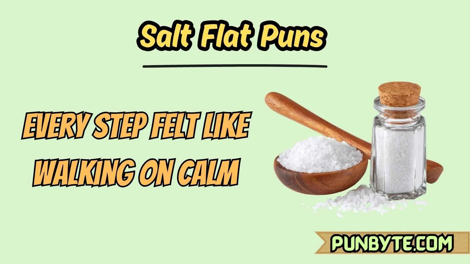 Salt Flat Puns