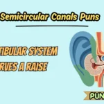 Semicircular Canals Puns