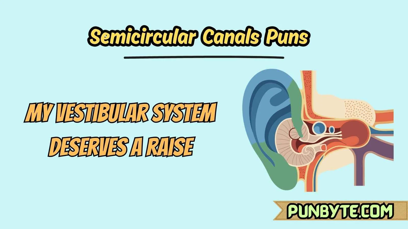 Semicircular Canals Puns